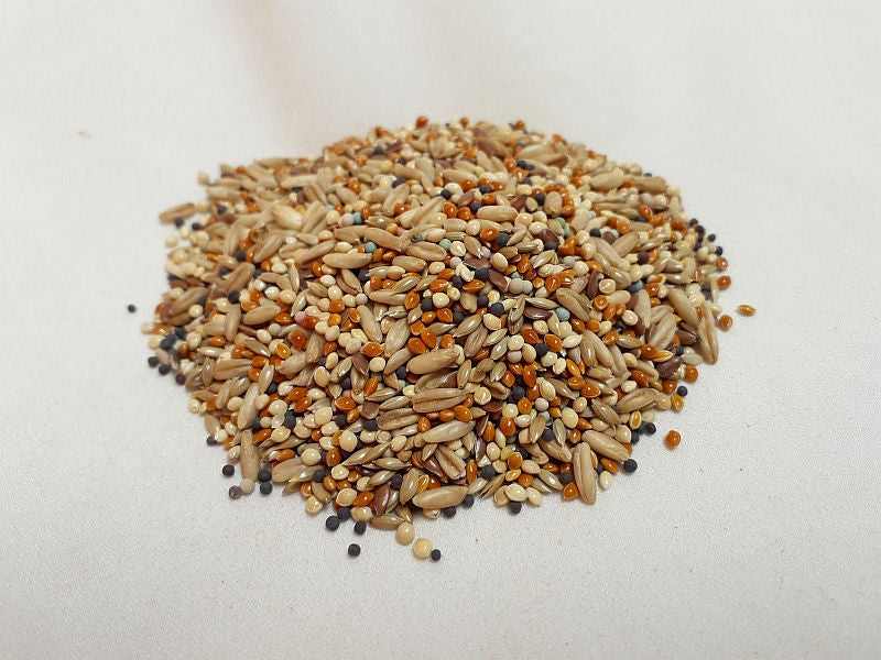 alpister compuesto a granel bolsa 1kg