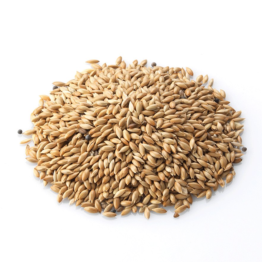 alpister simple a granel bolsa 1kg