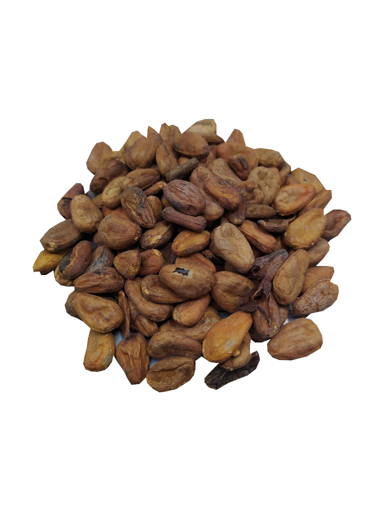 grano de cacao bolsa 1kg