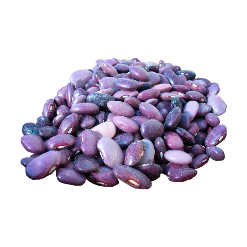 frijol ayocote morado a granel bolsa 1kg