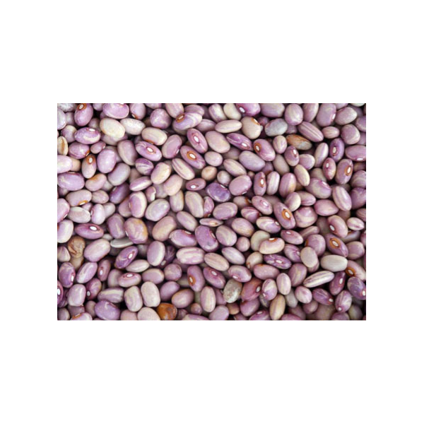 frijol flor de mayo a granel bolsa 1kg