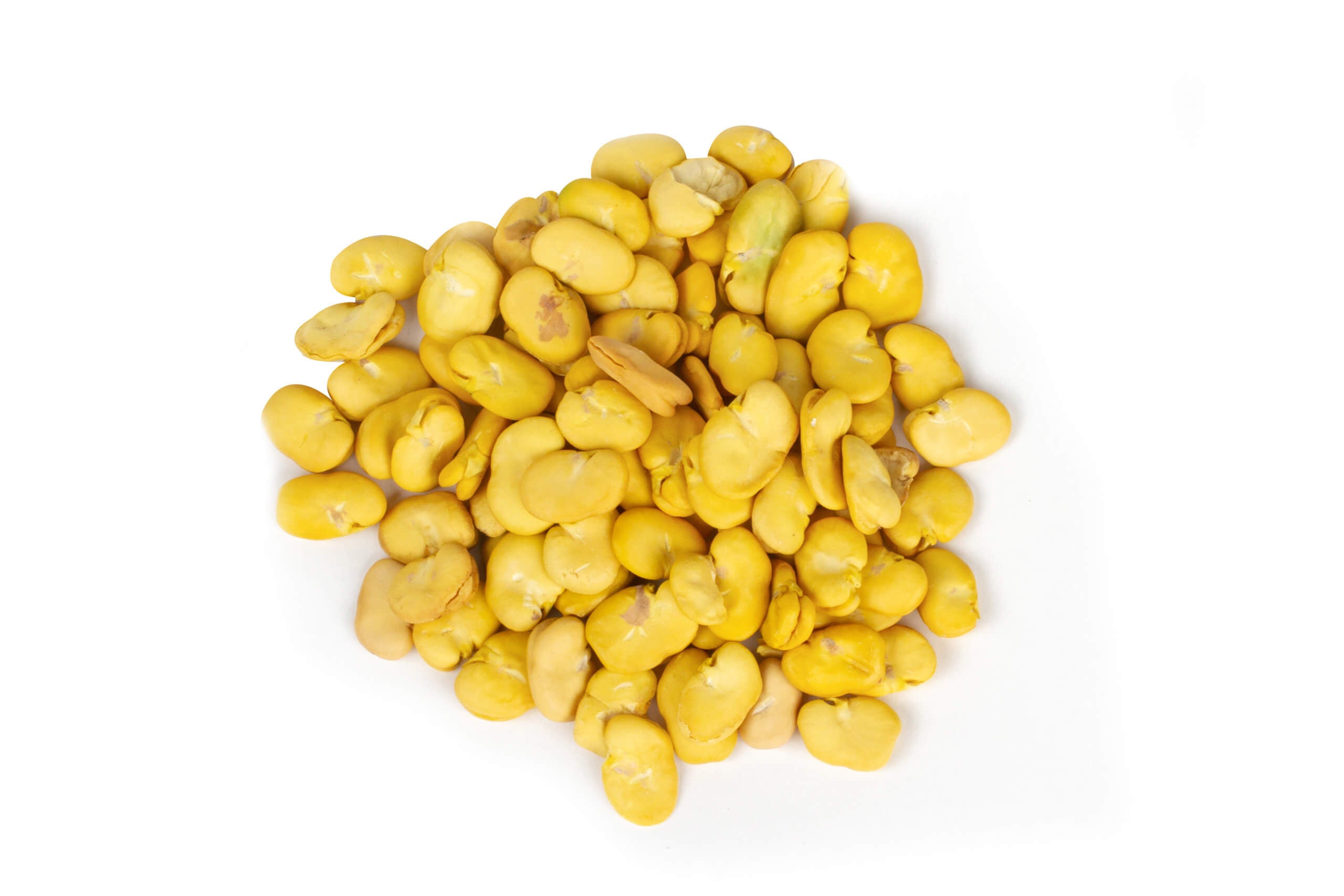 haba pelada bolsa 500gr