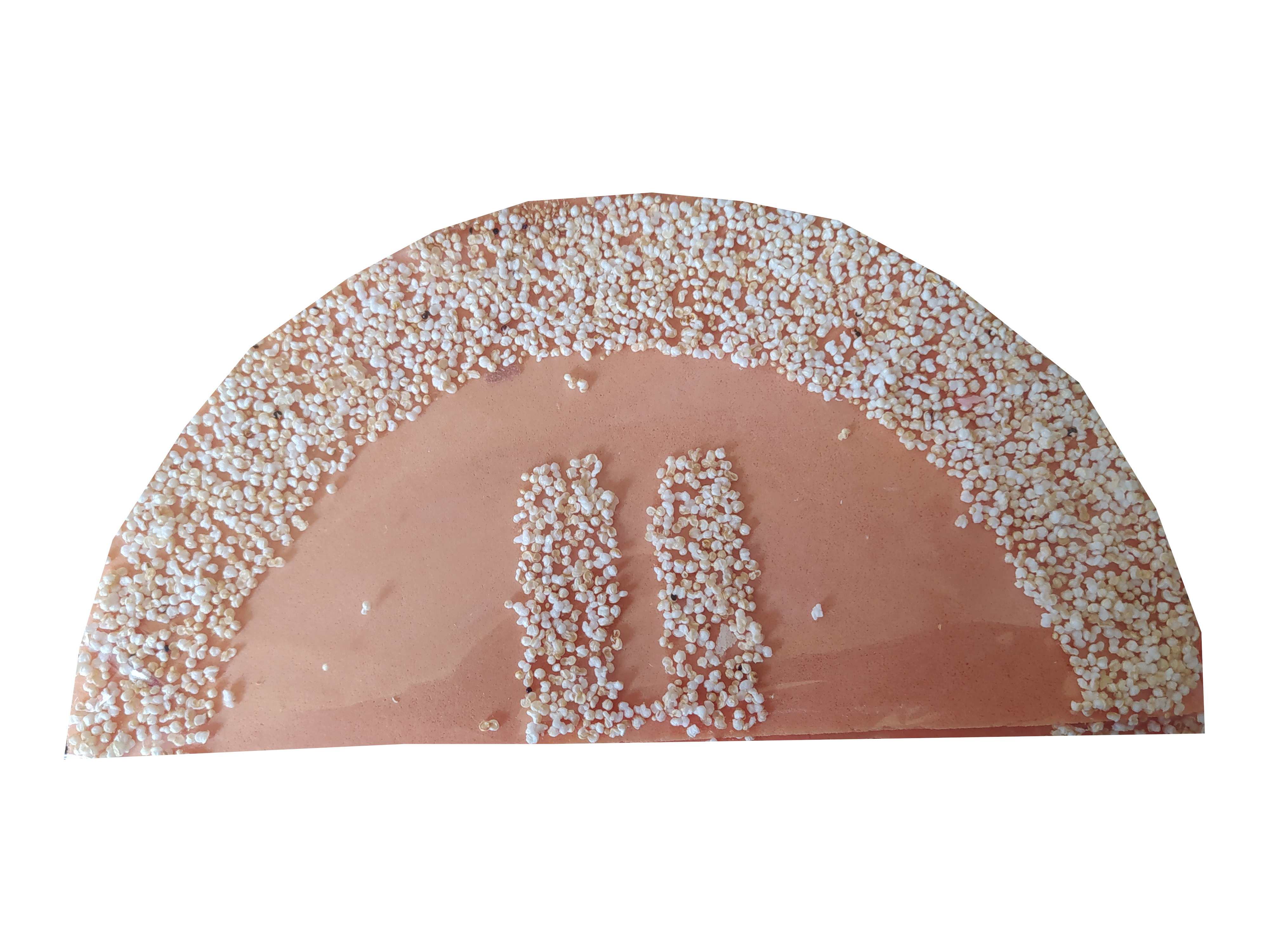 oblea artesanal sabor mamey paquete