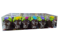calavera chocolate #4 estuche