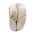 hoja de tamal grande manojo