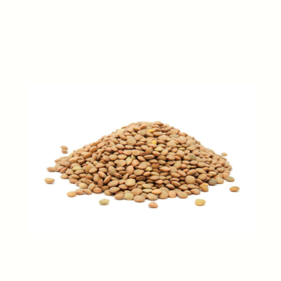 lenteja a granel bolsa 1kg
